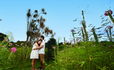 Preview - Experience: Romance